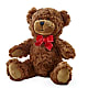 Adorable Plush Bear – Randalls, Pleasanton CA