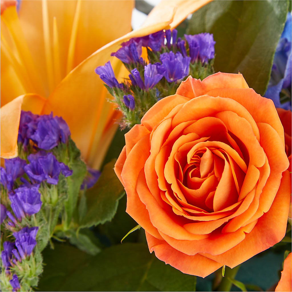 Radiant Citrus Box Bouquet – Randalls, Pleasanton CA
