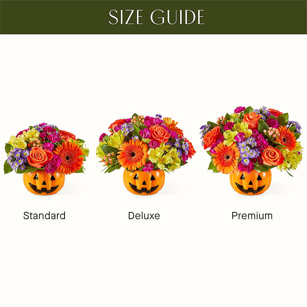 Tricks & Treats Pumpkin – Randalls, Pleasanton CA