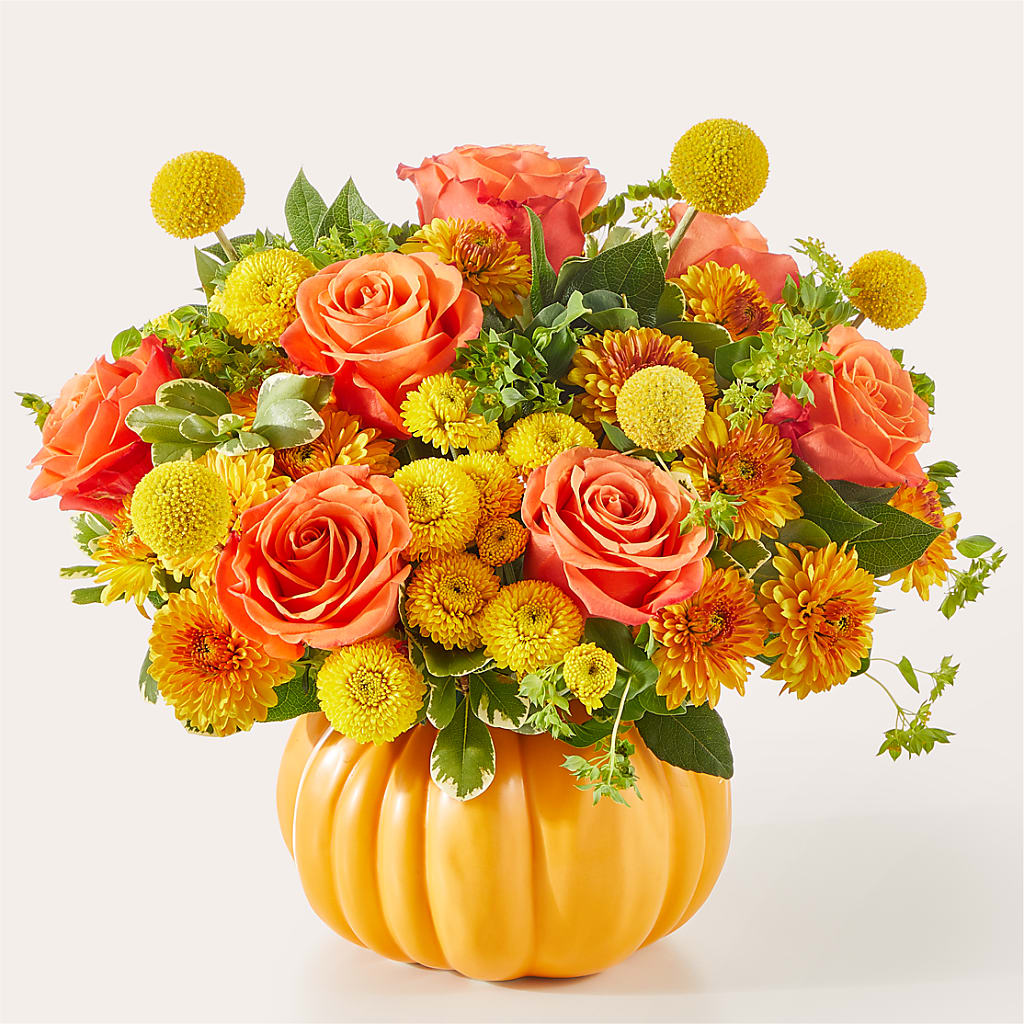 Gourdgeous Pumpkin – Randalls, Pleasanton CA