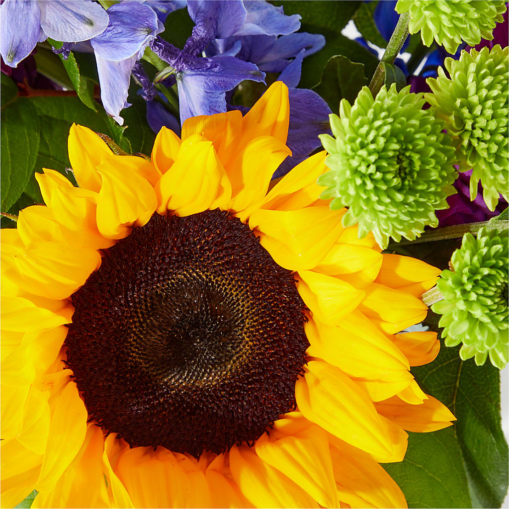 Catching Rays Bouquet – Randalls, Pleasanton CA