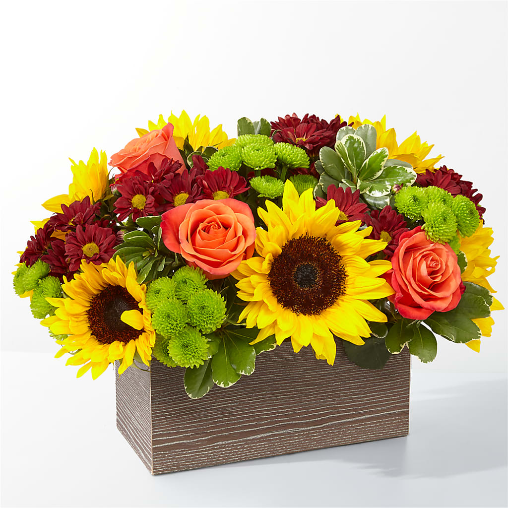Happy Harvest Garden – Randalls, Pleasanton CA