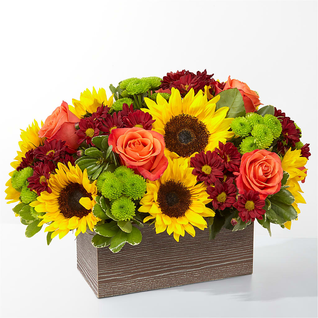 Happy Harvest Garden – Randalls, Pleasanton CA