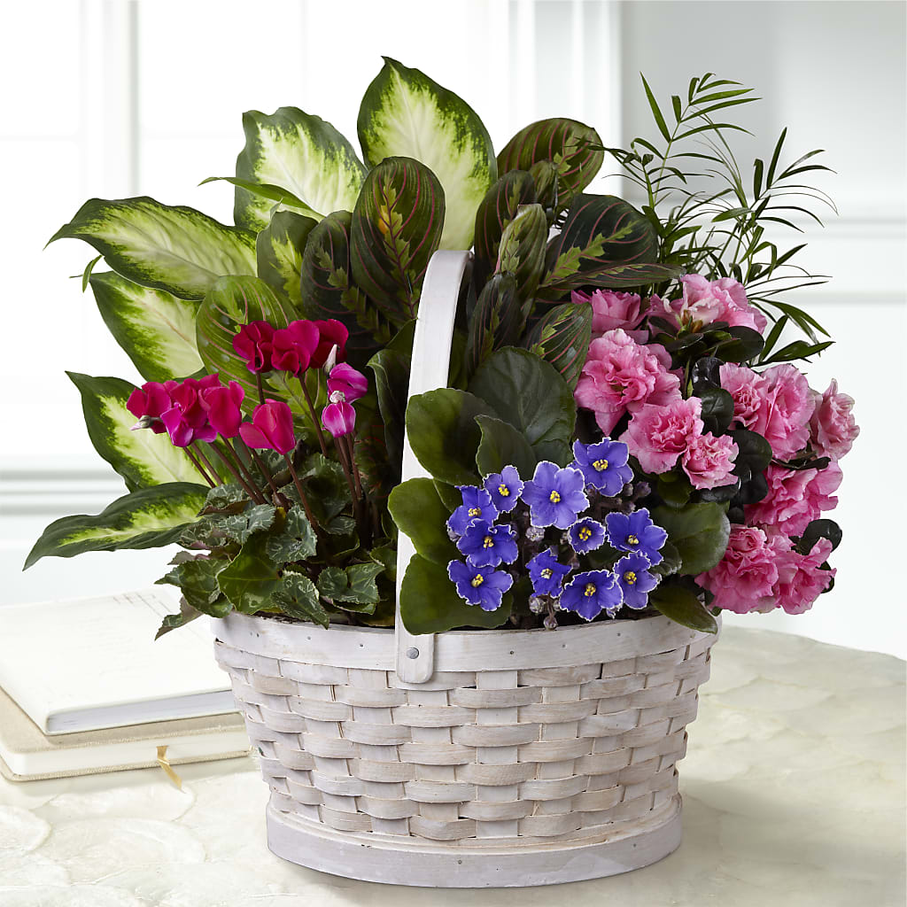 Peaceful Garden Planter – Randalls, Pleasanton CA