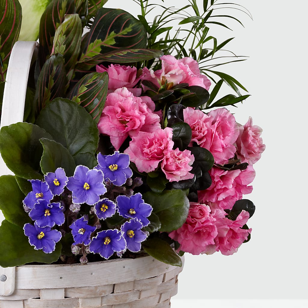 Peaceful Garden Planter – Randalls, Pleasanton CA