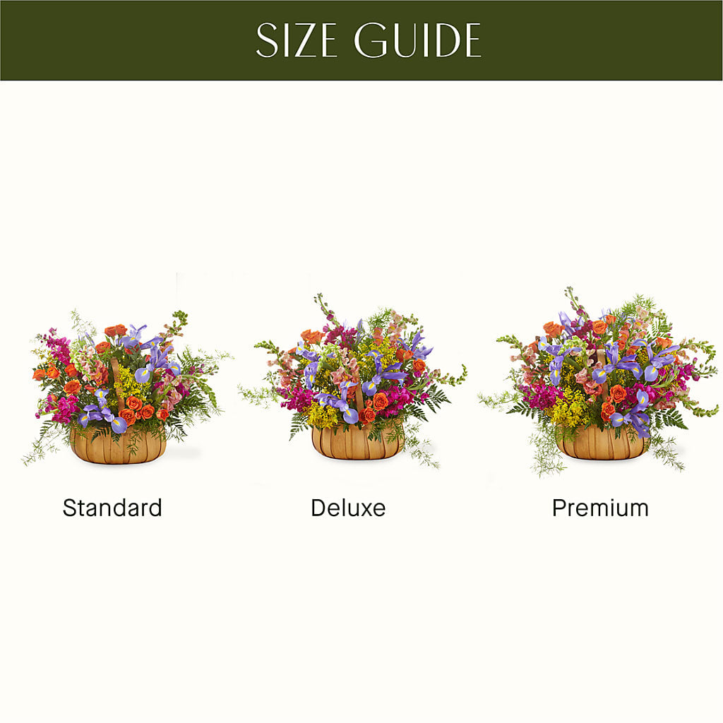 Garden of Life Basket – Randalls, Pleasanton CA