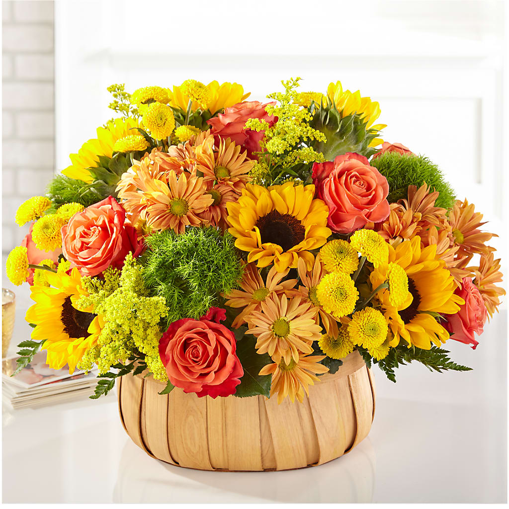 Harvest Sunflower Basket – Randalls, Pleasanton CA