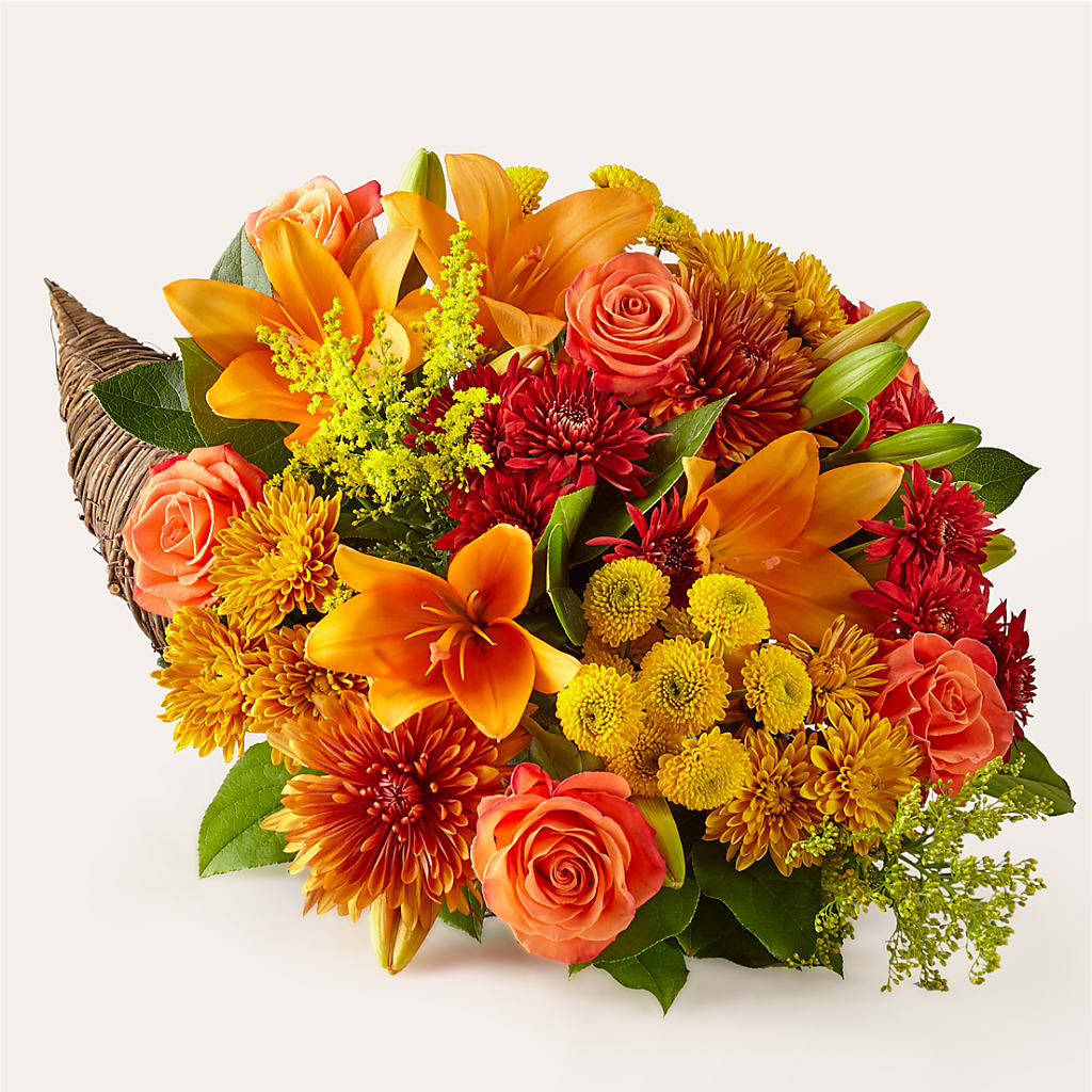 Feast of Color Cornucopia – Randalls, Pleasanton CA