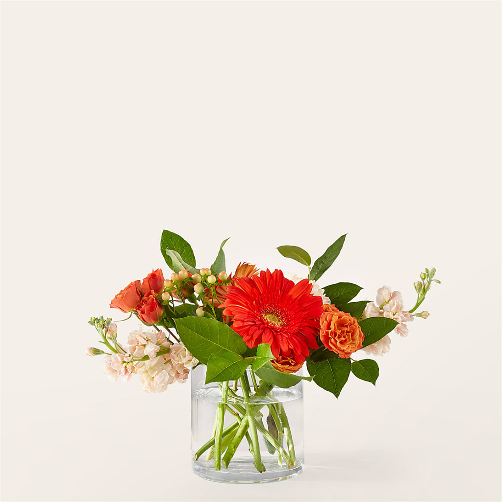 Paloma Please Bouquet – Randalls, Pleasanton CA