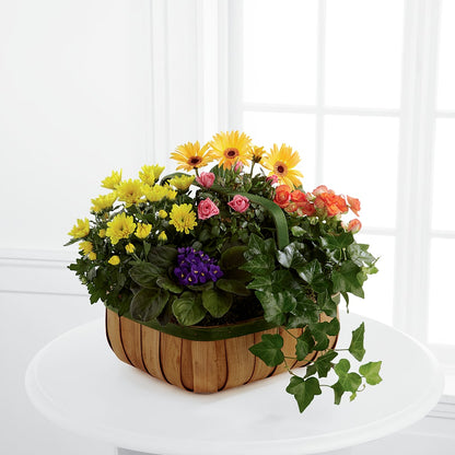 Gentle Blossoms Basket –  Randalls, Pleasanton CA