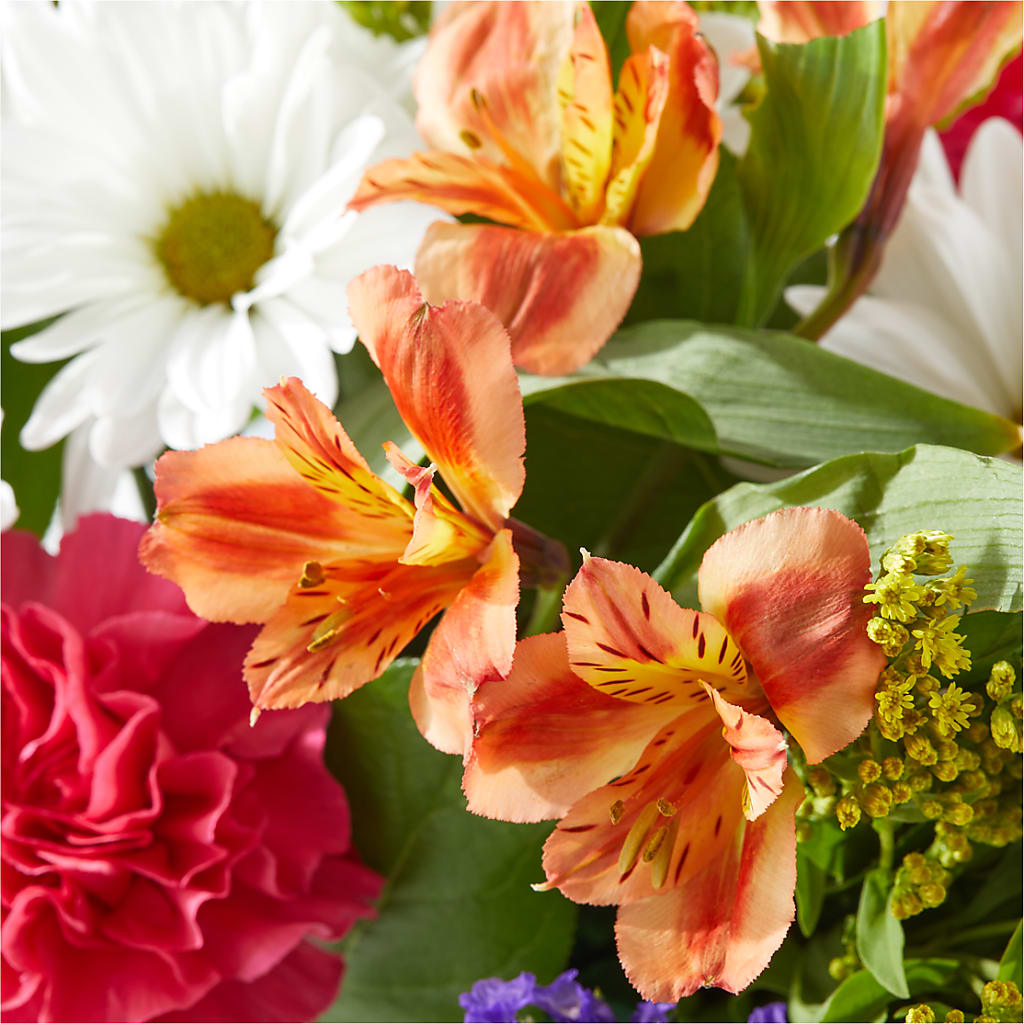 Oopsie Daisy Box Bouquet –  Randalls, Pleasanton CA