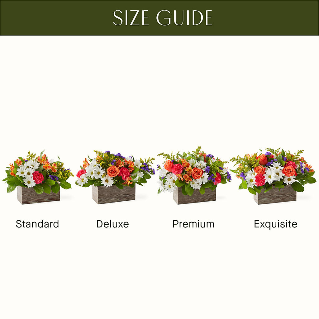 Oopsie Daisy Box Bouquet –  Randalls, Pleasanton CA