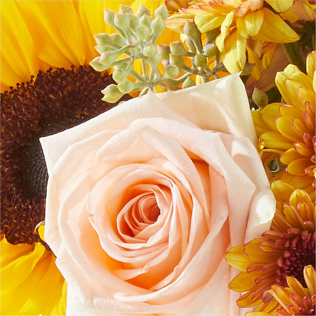 Pumpkin to Talk About Bouquet –  Randalls, Pleasanton CA