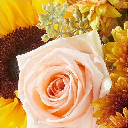 Pumpkin to Talk About Bouquet –  Randalls, Pleasanton CA