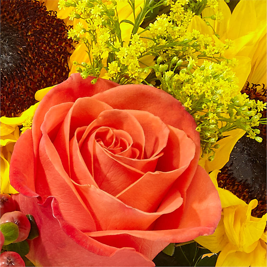 Pick of the Patch Pumpkin Bouquet –  Randalls, Pleasanton CA