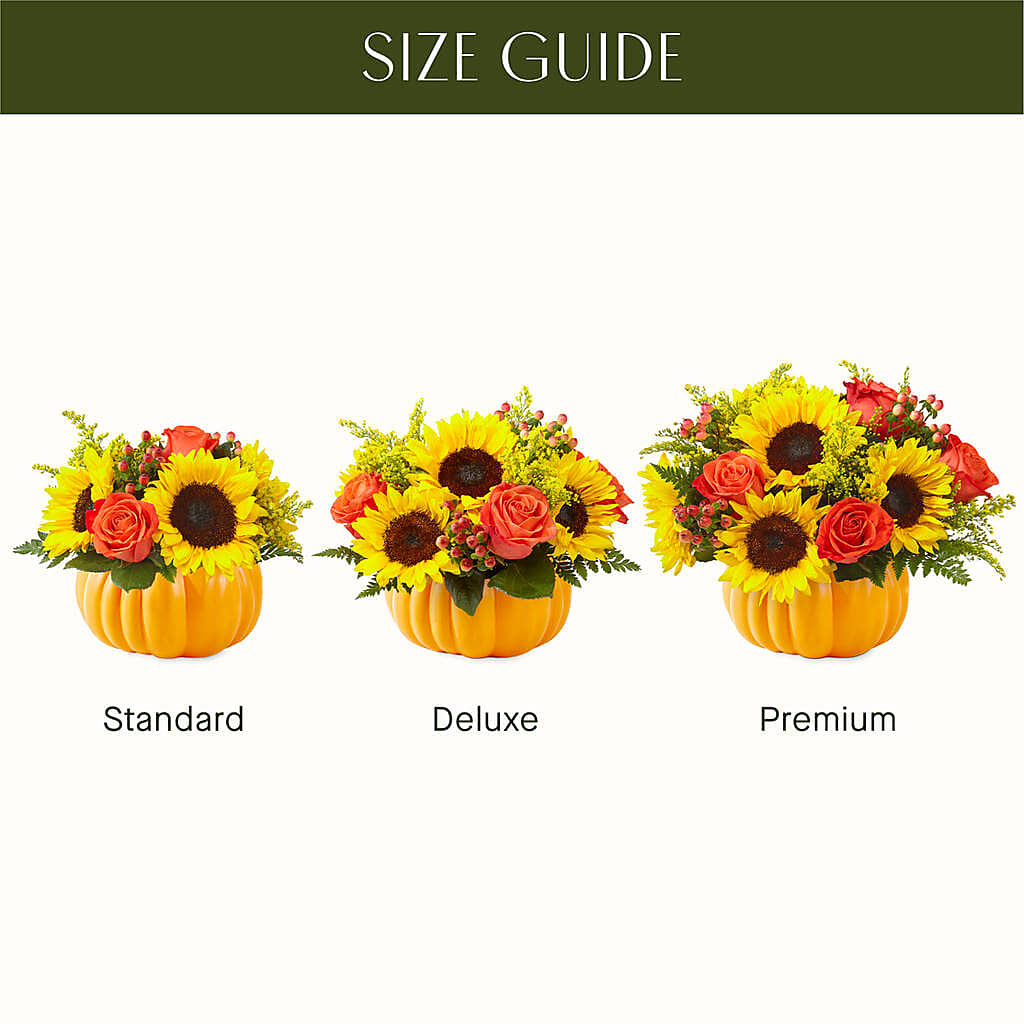 Pick of the Patch Pumpkin Bouquet –  Randalls, Pleasanton CA