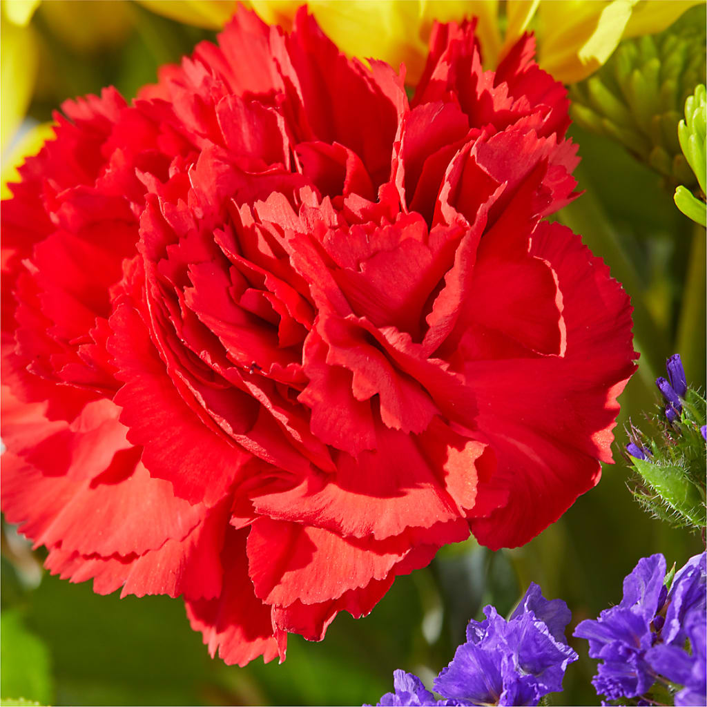 Brighter Days Bouquet –  Randalls, Pleasanton CA