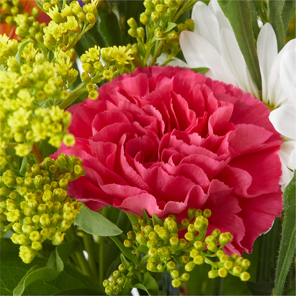 Oopsie Daisy Bouquet –  Randalls, Pleasanton CA