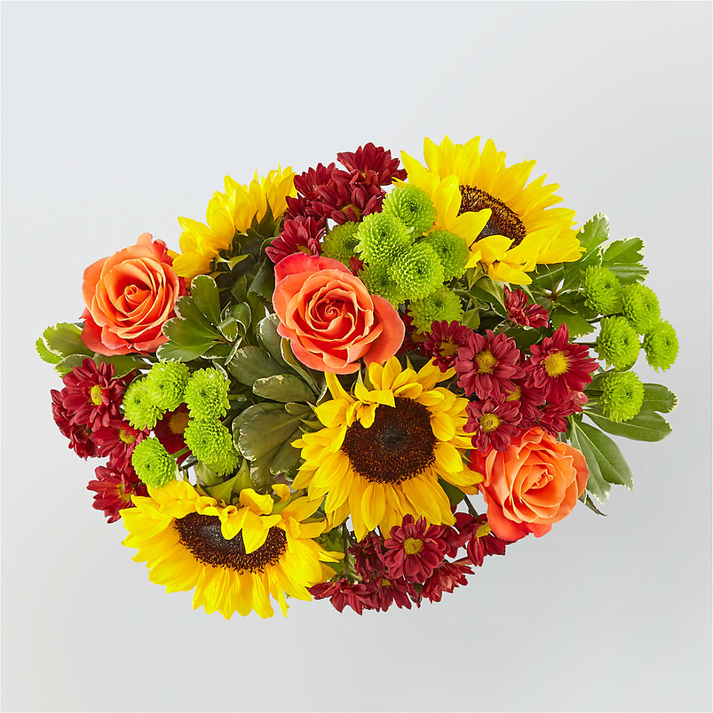 Happy Harvest Garden –  Randalls, Pleasanton CA