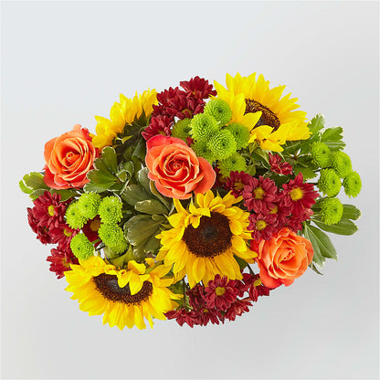 Happy Harvest Garden –  Randalls, Pleasanton CA