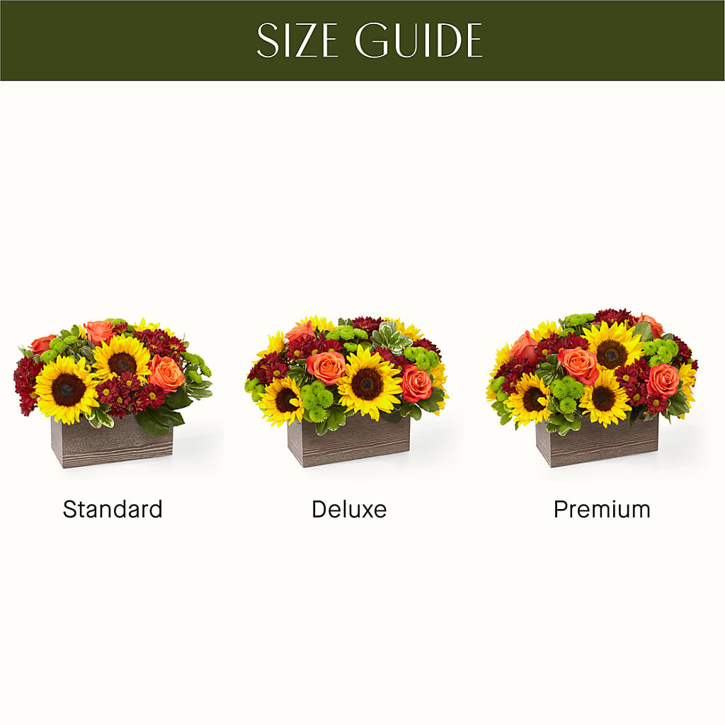 Happy Harvest Garden –  Randalls, Pleasanton CA