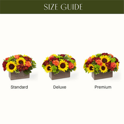 Happy Harvest Garden –  Randalls, Pleasanton CA