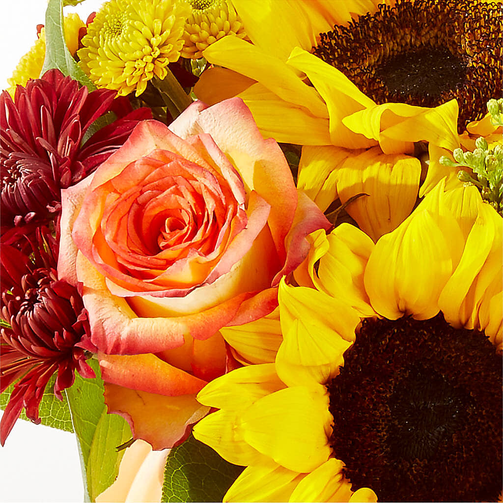 Golden Gourd Pumpkin Bouquet –  Randalls, Pleasanton CA