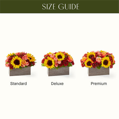 Fresh Cider Bouquet –  Randalls, Pleasanton CA