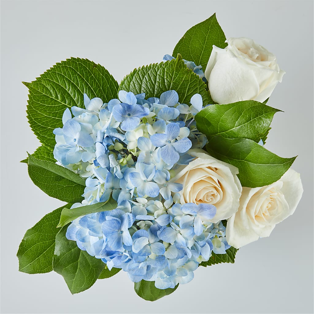 Sky Blue Delight Bouquet –  Randalls, Pleasanton CA