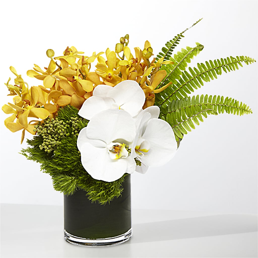 The Tropics –  Randalls, Pleasanton CA