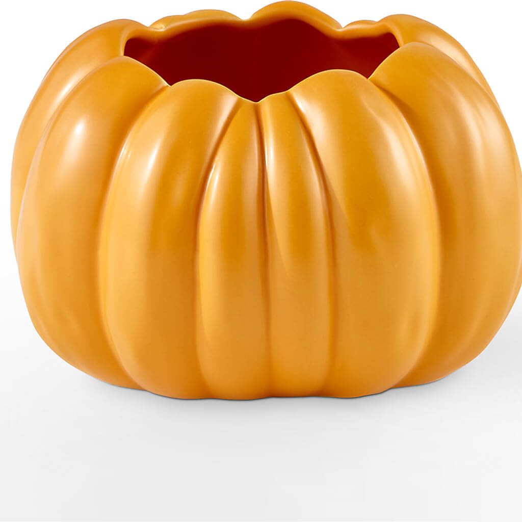Pick of the Patch Pumpkin Bouquet –  Randalls, Pleasanton CA