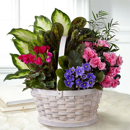 Peaceful Garden Planter –  Randalls, Pleasanton CA
