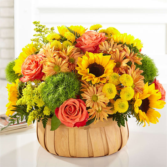 Harvest Sunflower Basket –  Randalls, Pleasanton CA