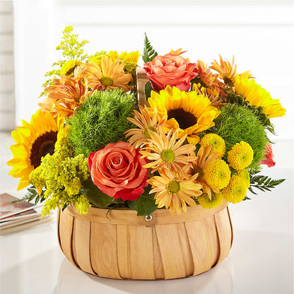 Harvest Sunflower Basket –  Randalls, Pleasanton CA