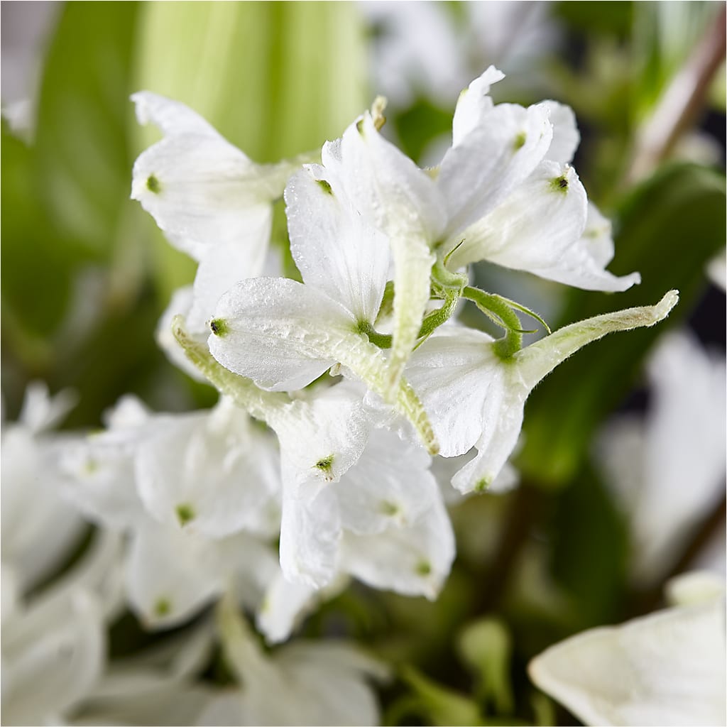 Classic Ivory – A Florist Original –  Randalls, Pleasanton CA