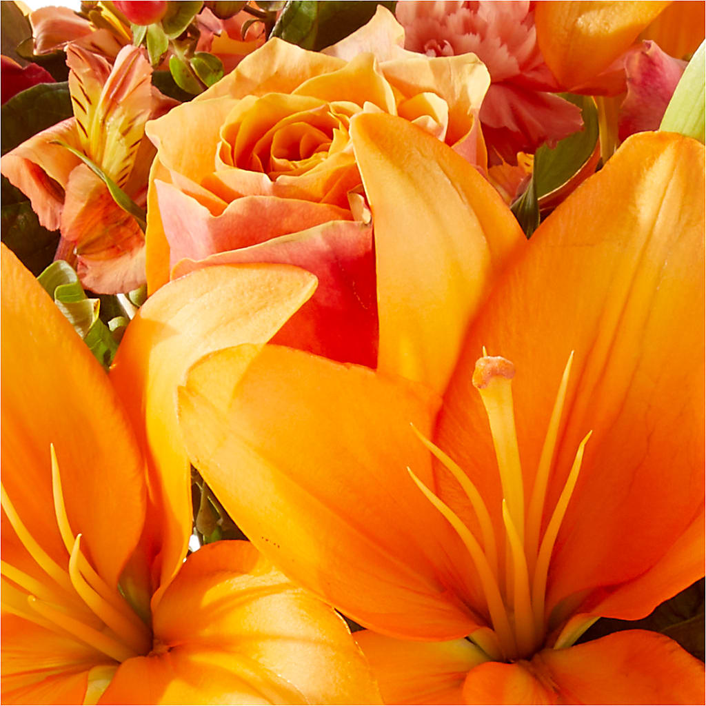 Afternoon Light Bouquet –  Randalls, Pleasanton CA
