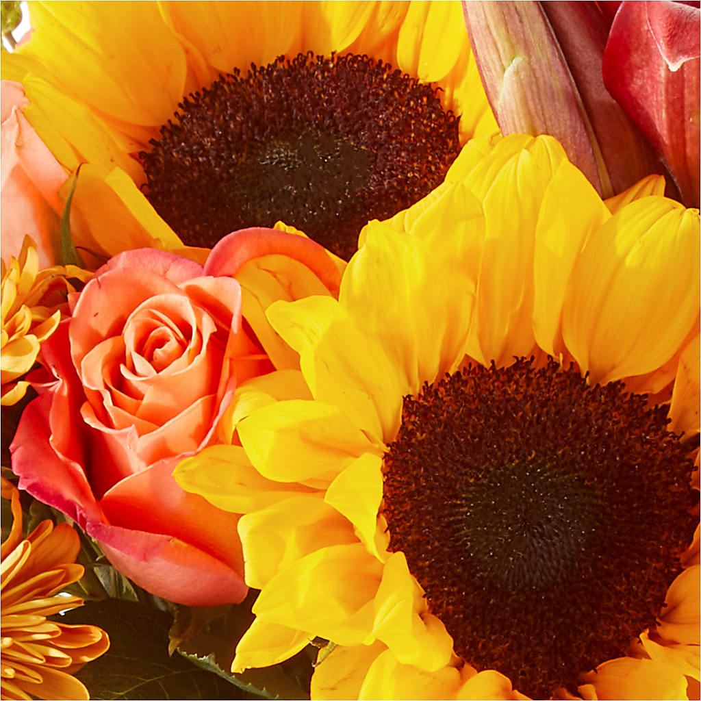 Acorn Lane Bouquet –  Randalls, Pleasanton CA