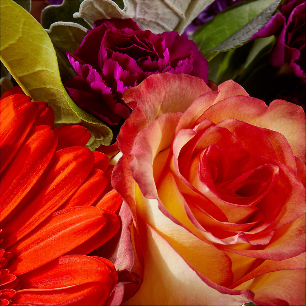 Sangria Bouquet –  Randalls, Pleasanton CA