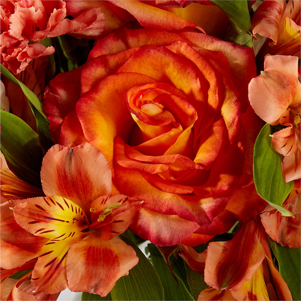 Apricot Glow Bouquet –  Randalls, Pleasanton CA