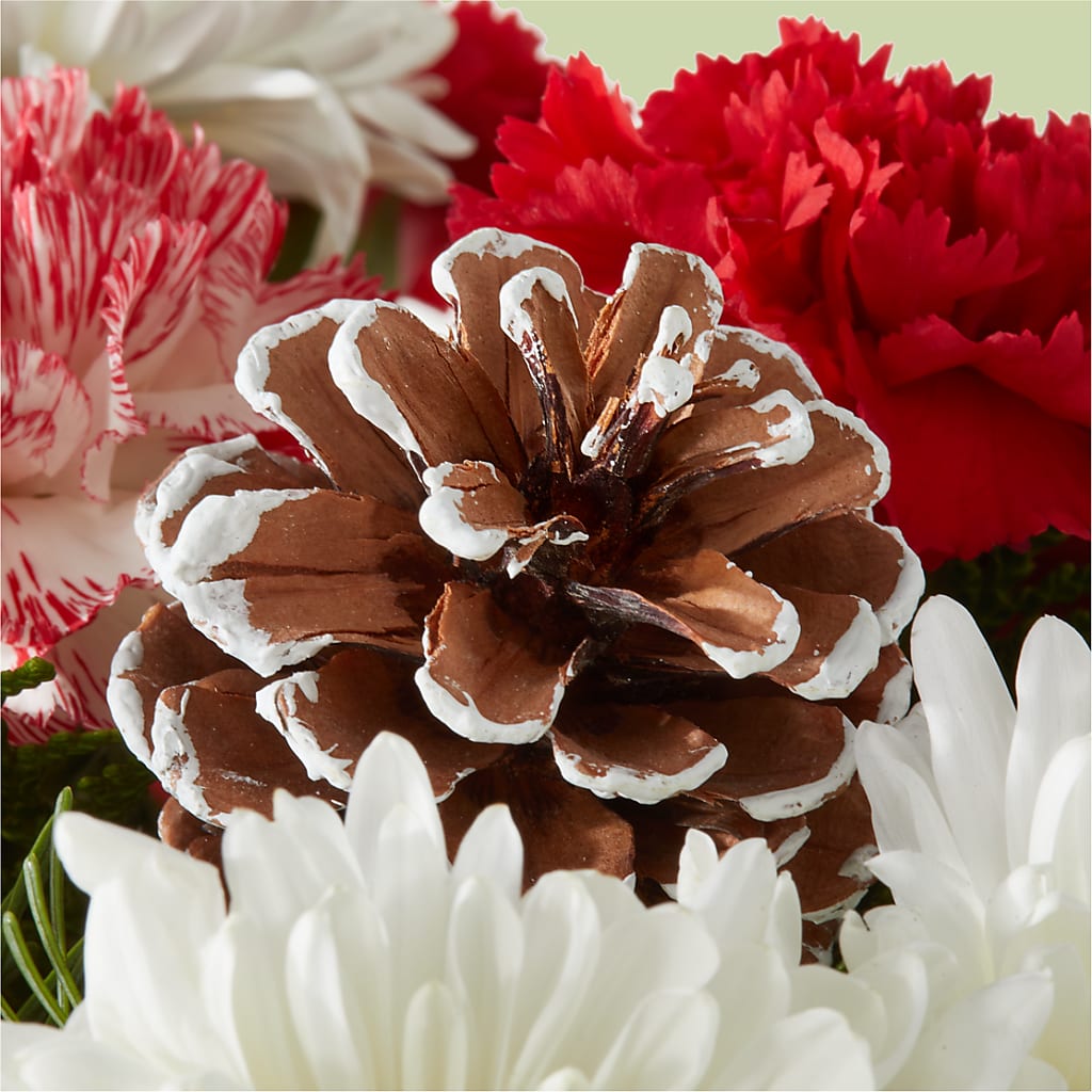 Candy Cane Lane Bouquet –  Randalls, Pleasanton CA