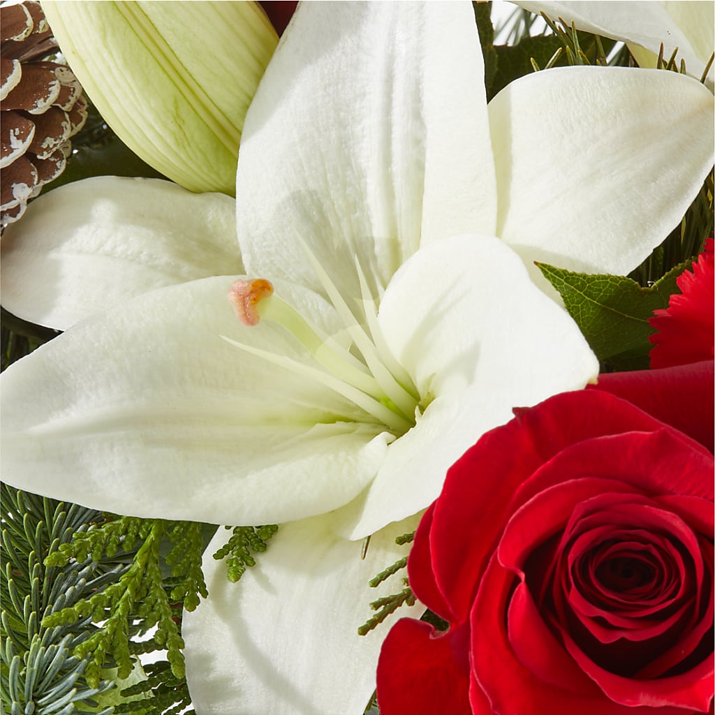 Oh So Jolly Bouquet –  Randalls, Pleasanton CA