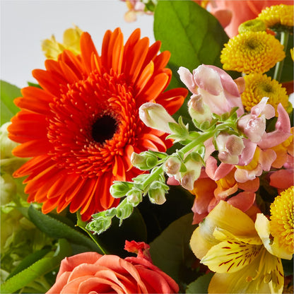 Autumn Sunshine Bouquet –  Randalls, Pleasanton CA