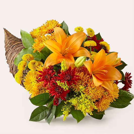Feast of Color Cornucopia –  Randalls, Pleasanton CA