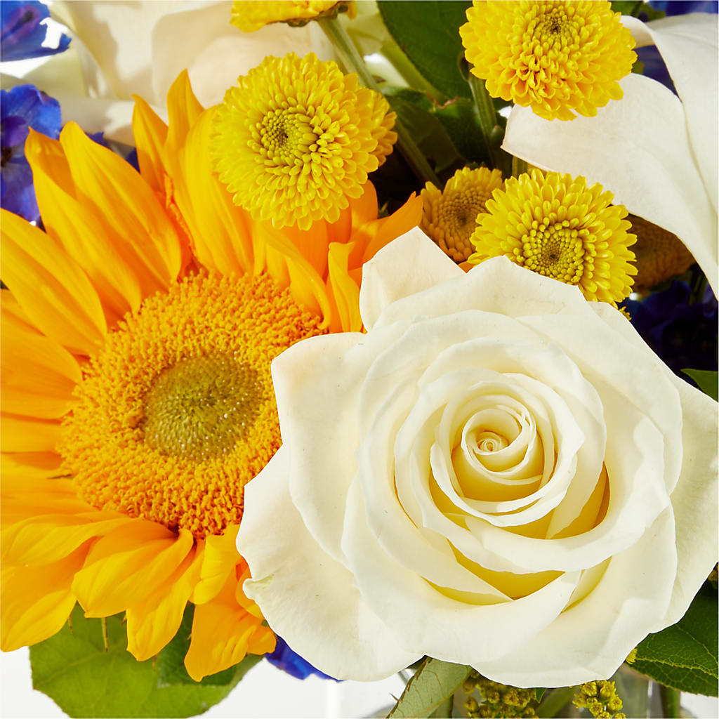 Stargazing Bouquet –  Randalls, Pleasanton CA