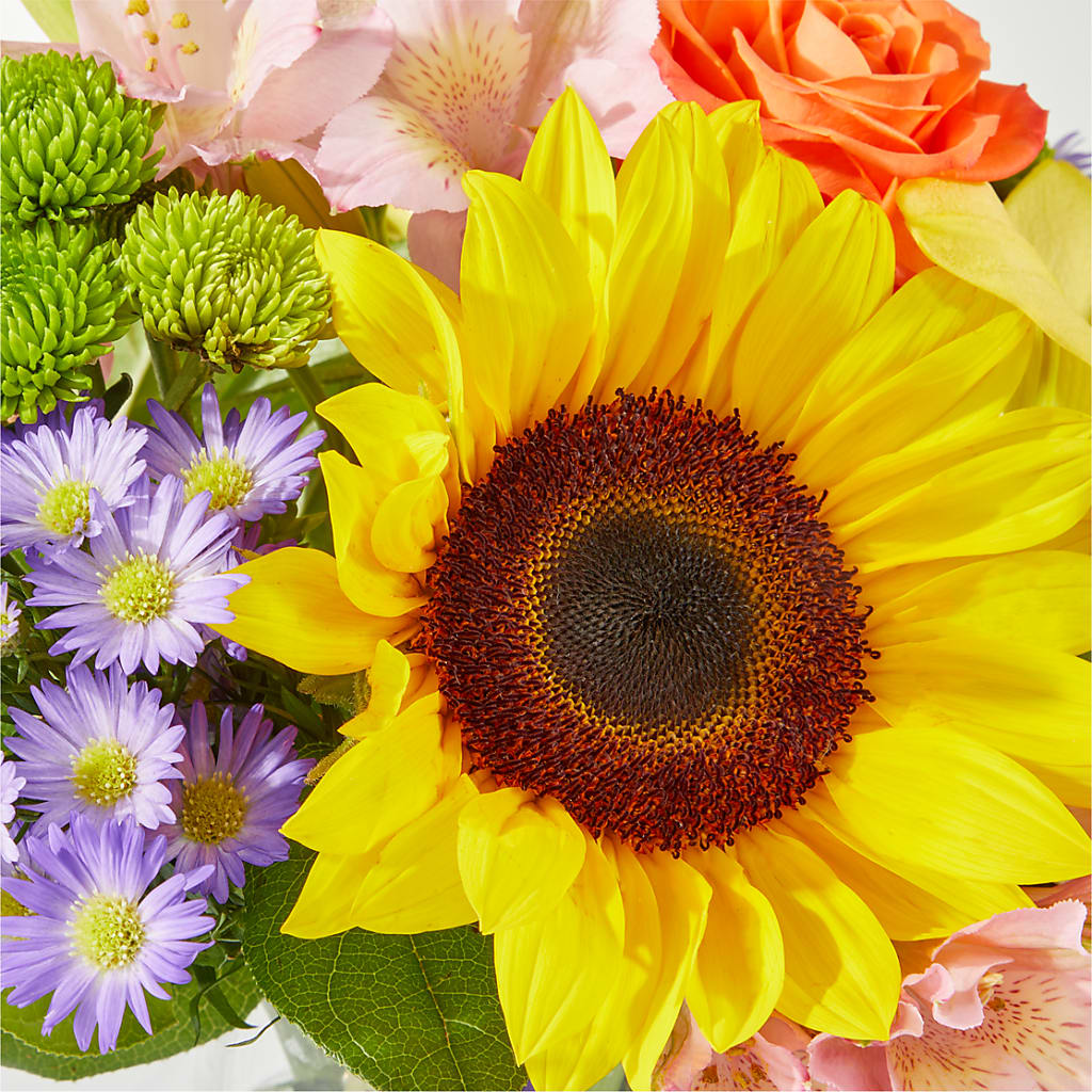 Basking in the Glow Bouquet –  Randalls, Pleasanton CA