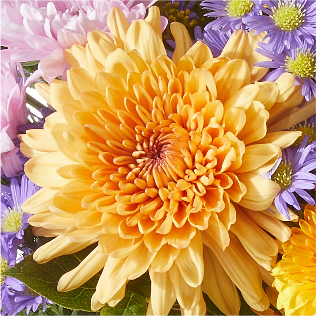 Countryside Bouquet –  Randalls, Pleasanton CA