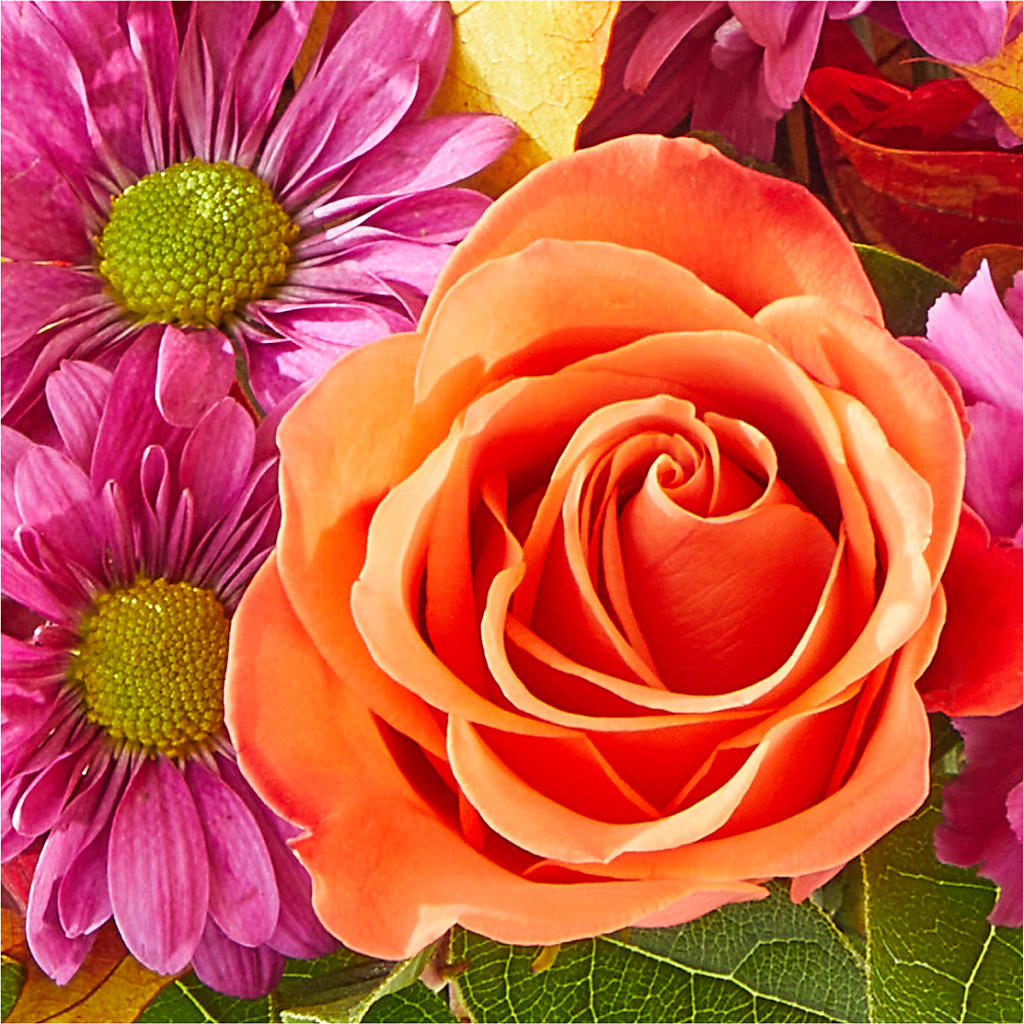 Mum's the Word Bouquet –  Randalls, Pleasanton CA