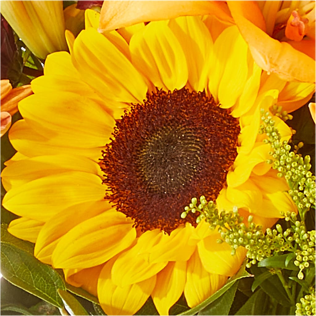 Seasons Change Bouquet –  Randalls, Pleasanton CA