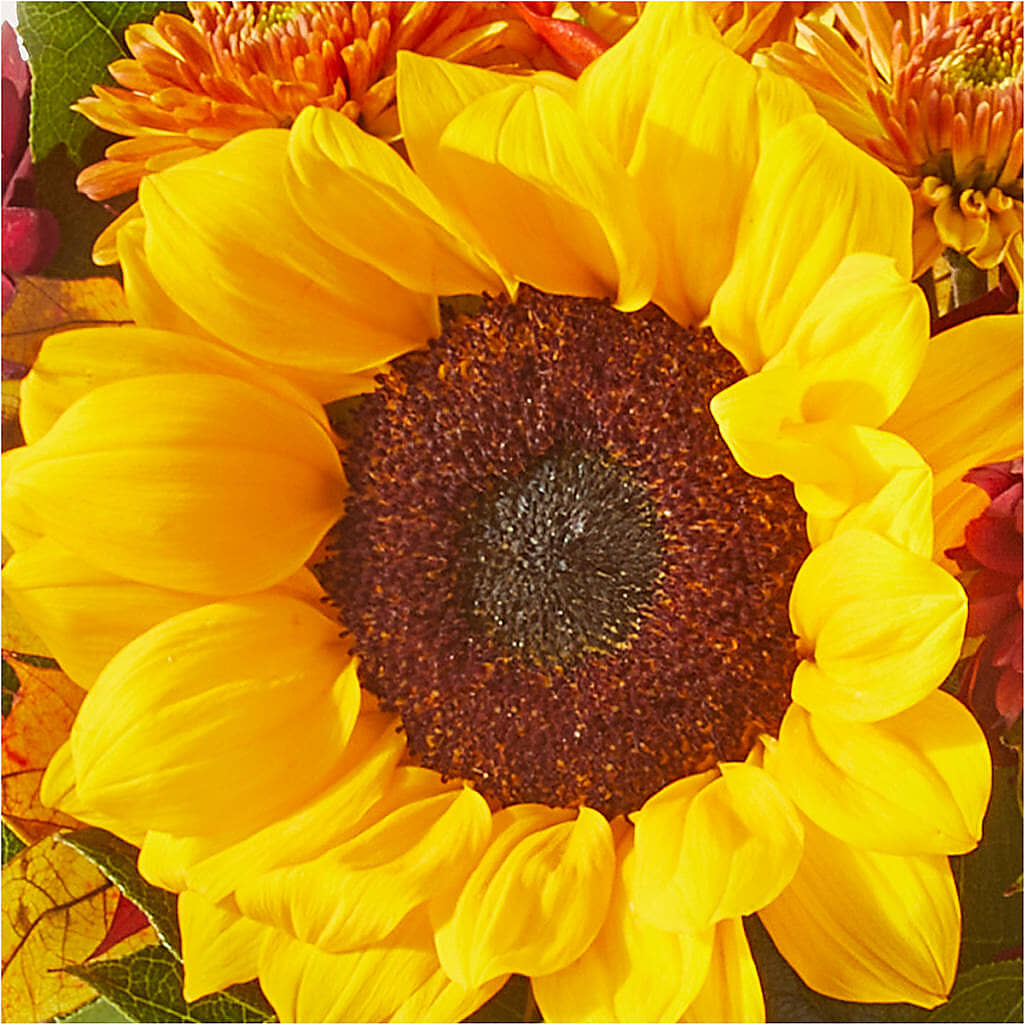 Sunny Side Bouquet –  Randalls, Pleasanton CA