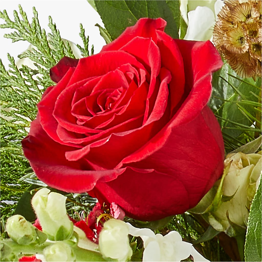 Deck the Halls Bouquet –  Randalls, Pleasanton CA